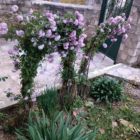 Patara's * Sarandë